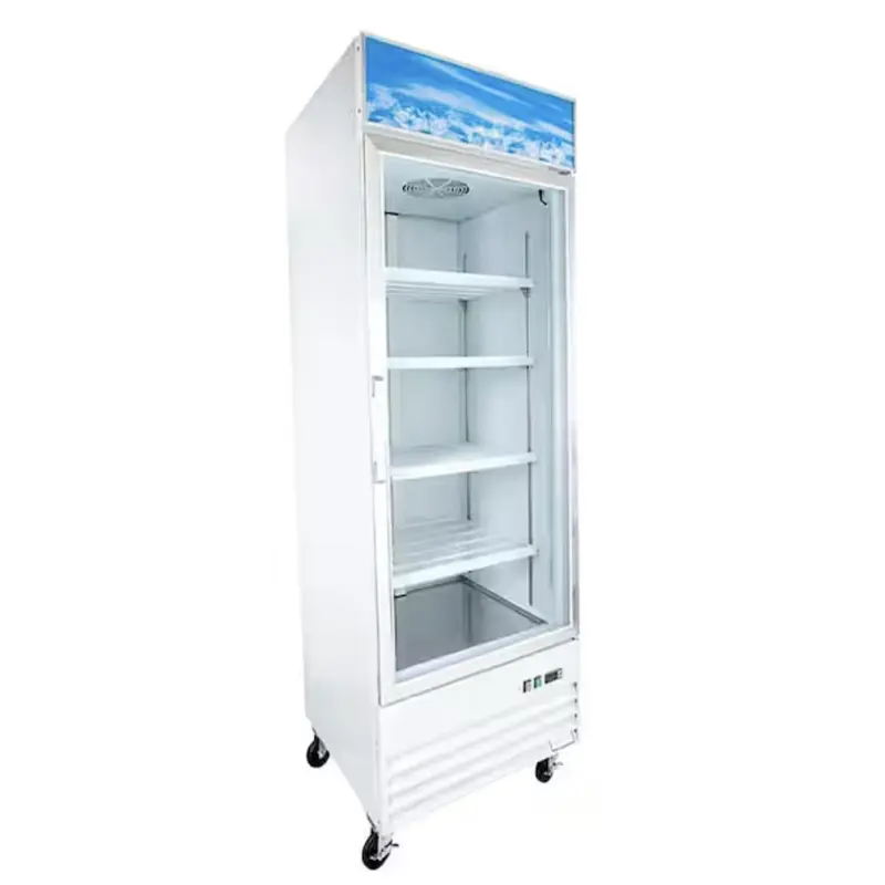 CHILLER : UPRIGHT - GLASS - 1 DOOR | 23CUBIC - RIGID