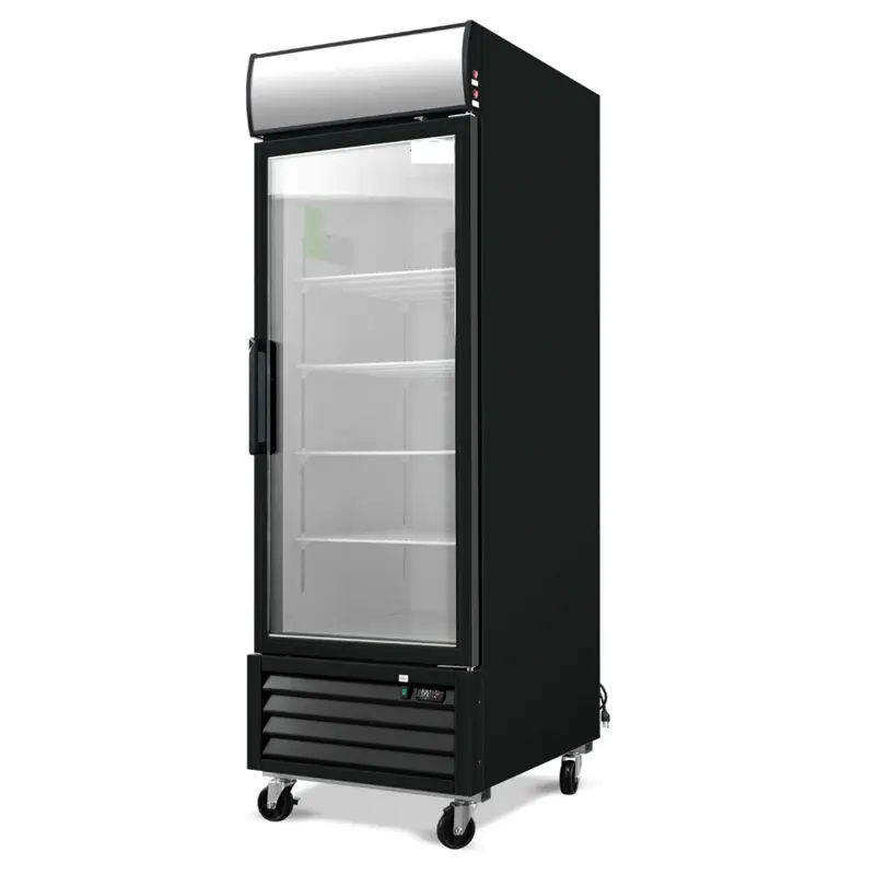 CHILLER : UPRIGHT - GLASS - 1 DOOR | 20 CUBIC - RIGID