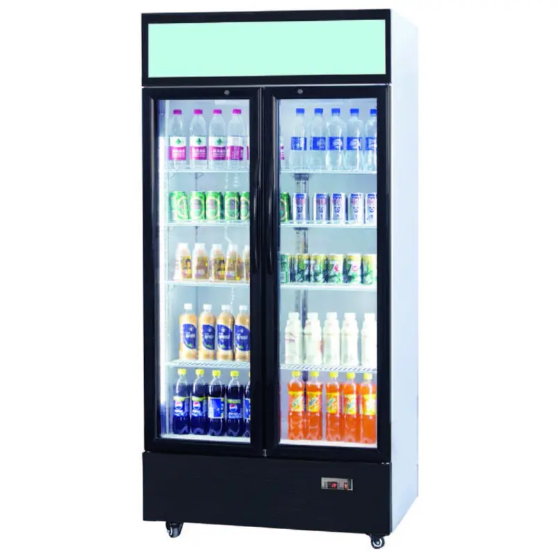 RIGID - UPRIGHT CHILLER : GLASS - 2 DOOR | 23CUBIC