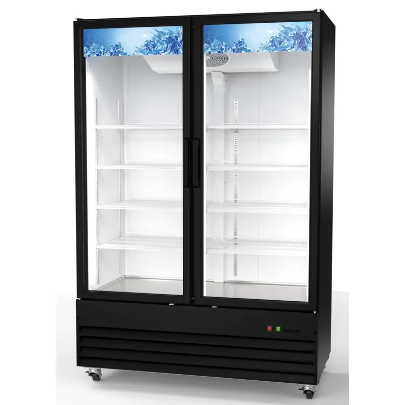 RIGID - CHILLER - 2 DOOR SWING DISPLAY