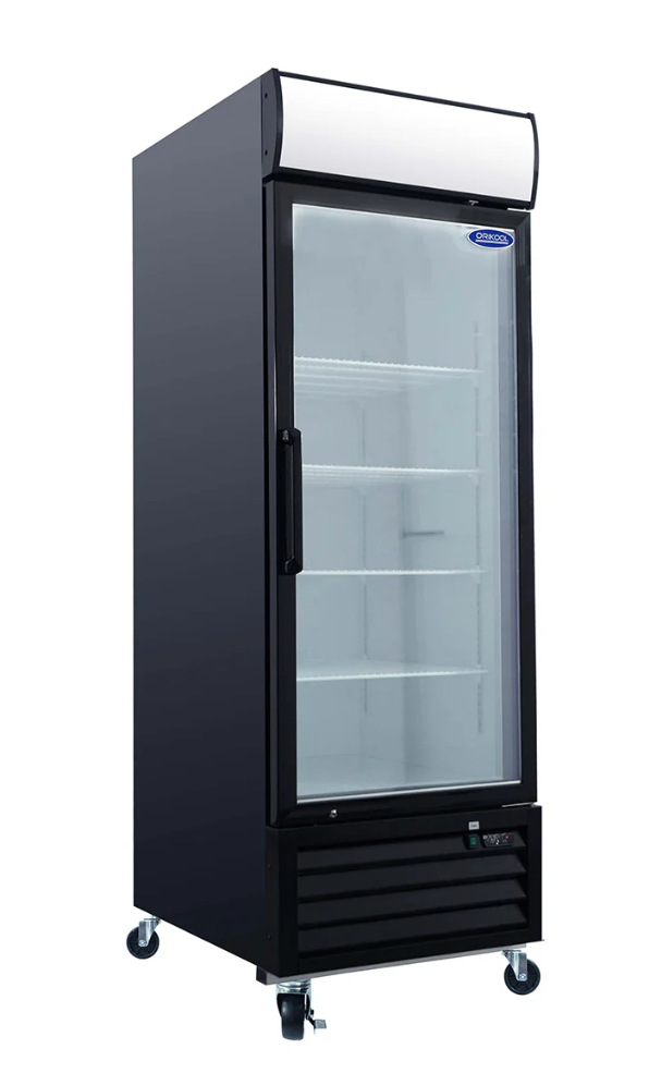 FREEZER : UPRIGHT - GLASS - 1 DOOR | 20 CUBIC - RIGID  