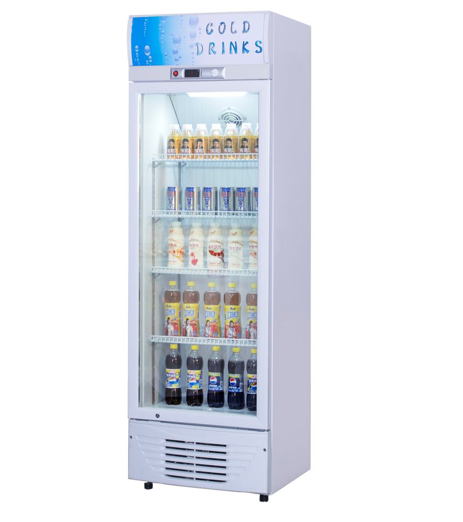 CHILLER : UPRIGHT - GLASS - 1 DOOR | 12 CUBIC - RIGID 