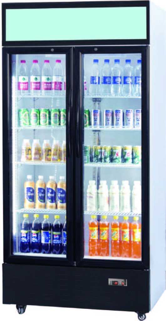 RIGID - CHILLER - 2 DOOR DISPLAY