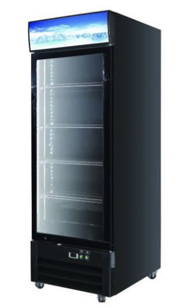 RIGID : CHILLER - 1 DOOR DISPLAY