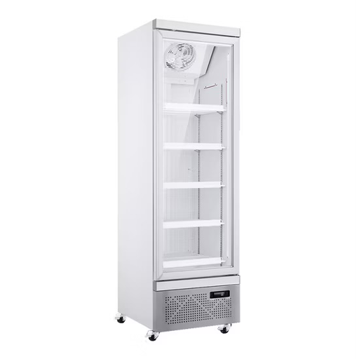 [XX-LSD329] RIGID - FREEZER - DISPLAY SWING GLASS 1 DOOR 