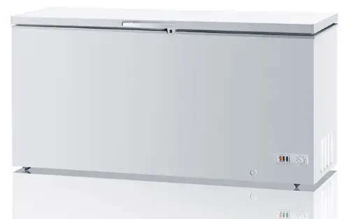 [ES-BD650F] CHILLER : SUBZERO - CHEST - 20 CUBIC | 204 BOTTLES - RIGID